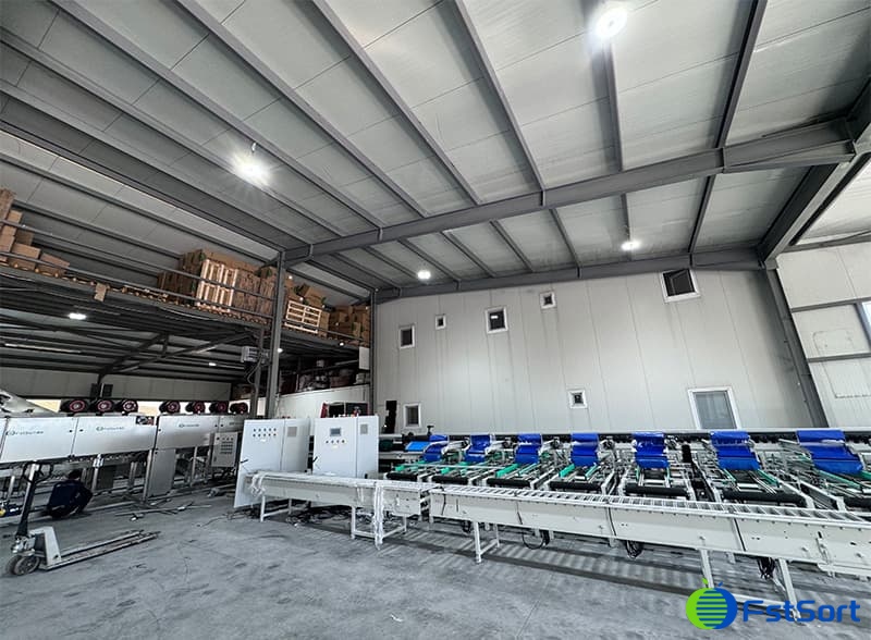 tomato grader for sale.jpg tomato grader for sale.jpg